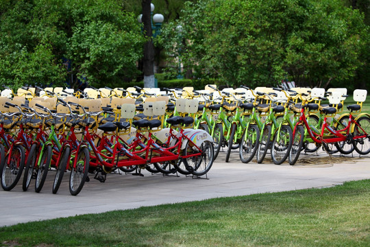 自行车 共享单车 旅游区 车子