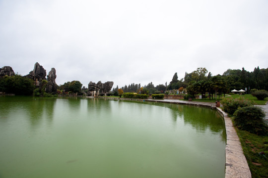 湖面 湖水 天空 景观 树林