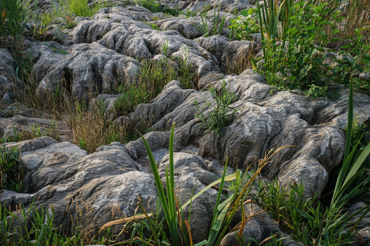 山体岩石与植物