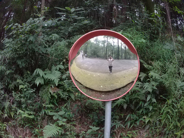 森林里的观察镜