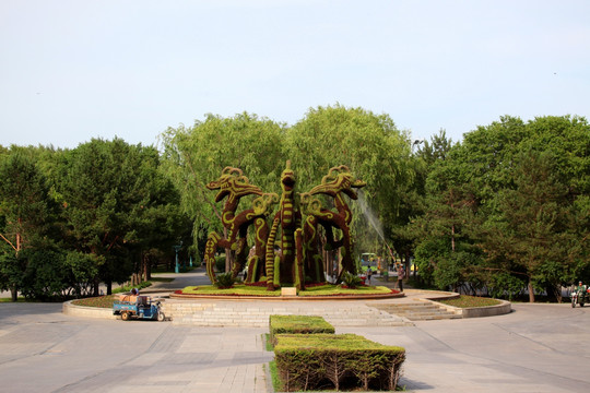 植物园 哈尔滨 太阳岛