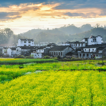 婺源春色风景