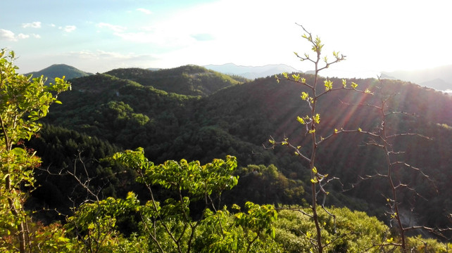 阳光山峦