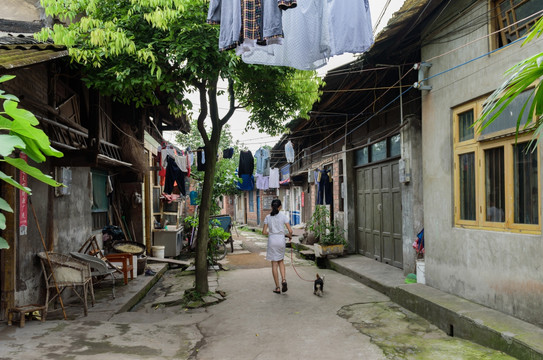 古镇小街 小女孩遛狗