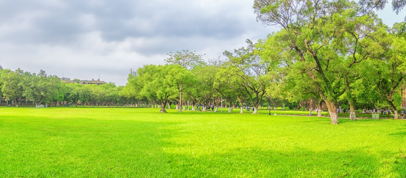 树林草坪 宽幅高清全景