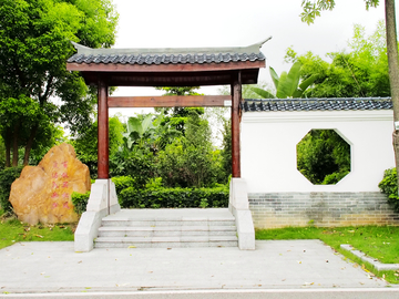 公园 庭院 植物墙 景色