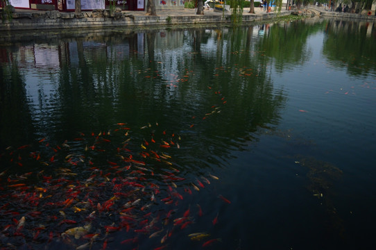大明湖