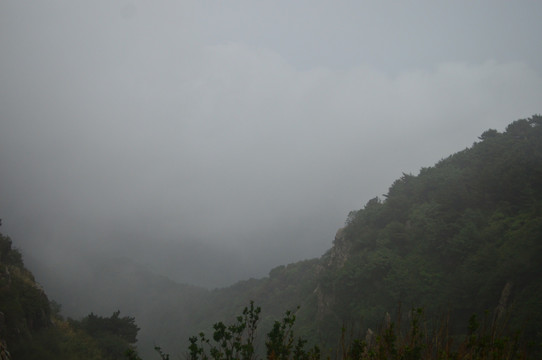 泰山云雾
