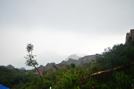 泰山风景