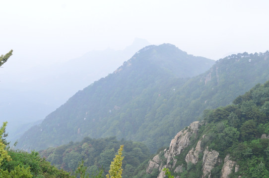 泰山风景