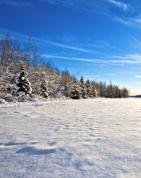 冬天雪地景色
