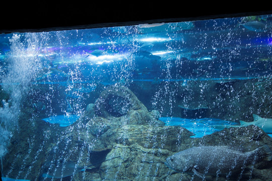 水族馆