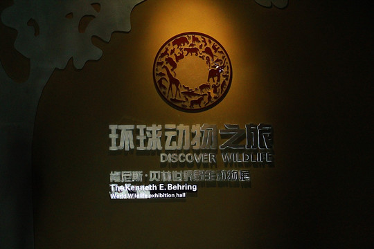 天津 自然博物馆 展厅