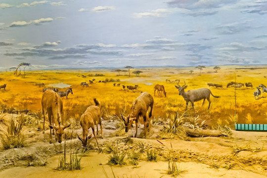 非洲大草原 史前动物