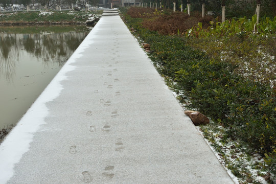 雪 雪景