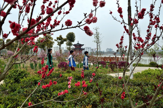 风景 地质公园 田园风光