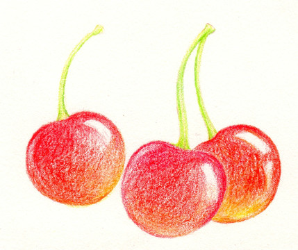 彩铅水果樱桃
