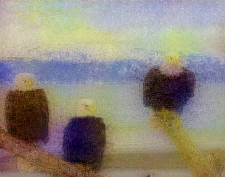 抽象花鸟画装饰画油画