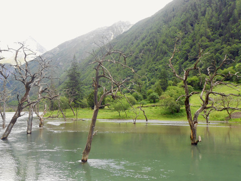 高原海子 湖泊水景 自然风光