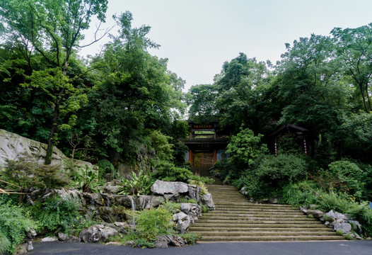 杭州西湖龙井村景区