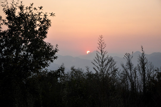 夕阳 夕阳红