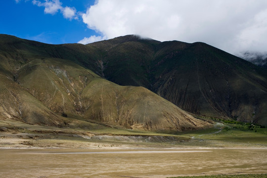 西藏牧场
