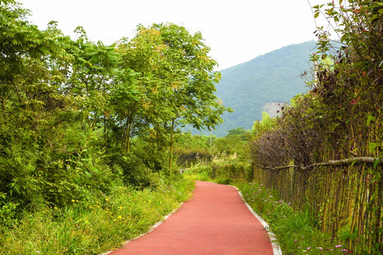 山野里的健身步道