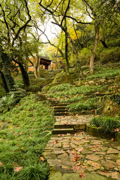 寺庙 上山道路