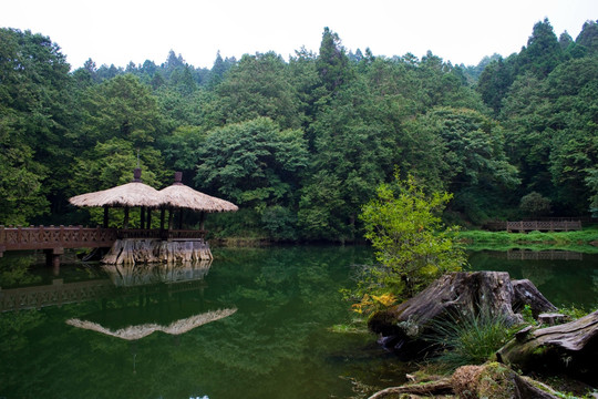 阿里山