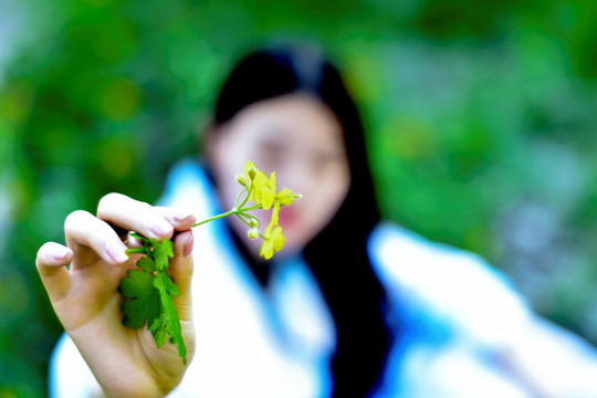 手拿黄花的女孩