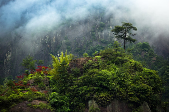 中国浙江茗岙风光