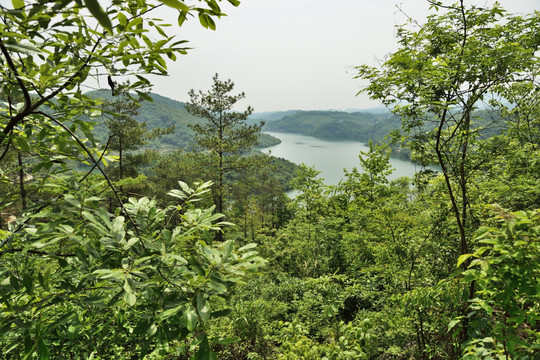 水库 风景 田园风光