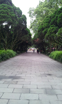 都江堰离堆公园