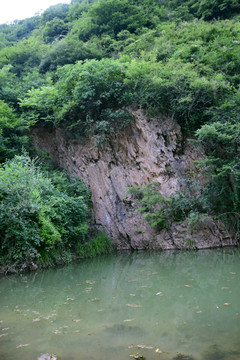 河边的岩石和绿色植被