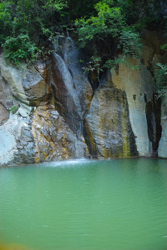 绿色水潭景观