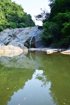 夏季的河谷风景图片