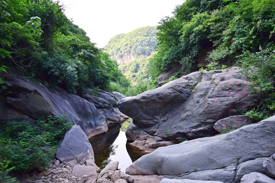 山谷中的小河风景图