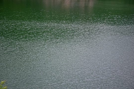 微波粼粼的绿色水面