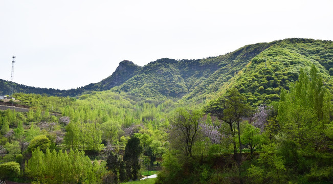 初夏的山脉风景