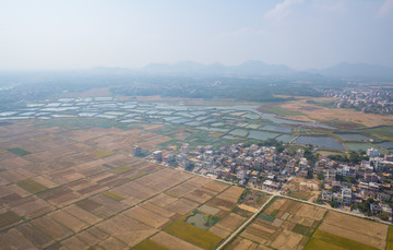 稻田 美丽乡村 金黄色