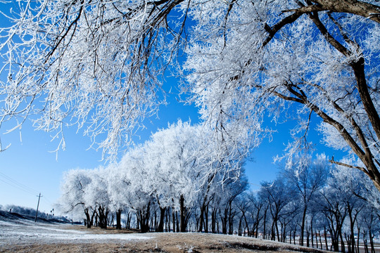 雪景