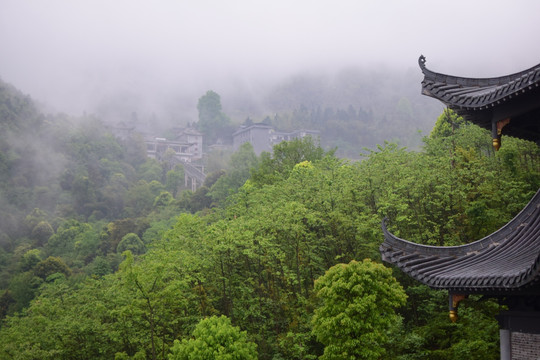 莲花山