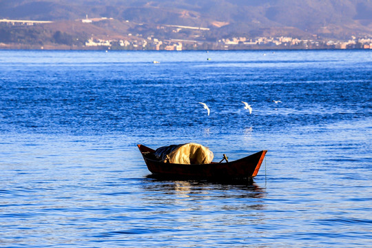 抚仙湖渔船