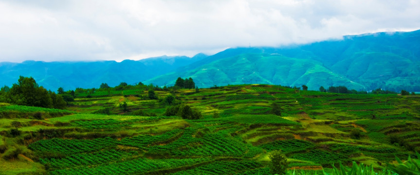 山地 庄稼地 丘陵地