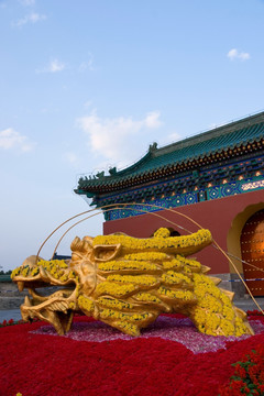 北京天坛公园花坛和建筑