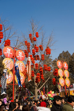 2008年北京地坛春节庙会