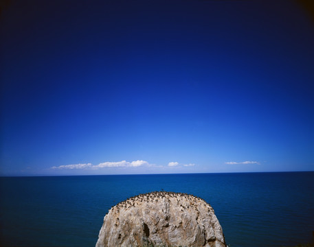 青海鸟岛