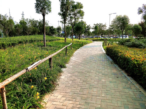 公园道路