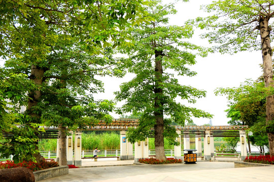 晋江绿洲公园