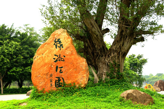 晋江绿洲公园